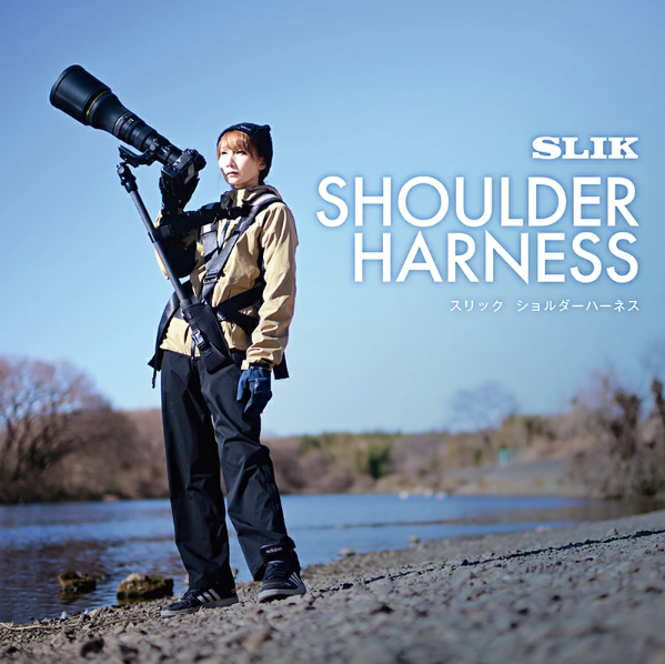 Shoulder Harness image 03